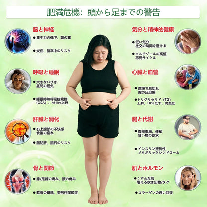 ⚡内臓脂肪対策サポート 👨‍⚕️👩‍⚕️GeeLemon®＆NAD+ 8-in-1 ナノ強化フォーミュラ — 肥満、肌のたるみ、糖尿病、睡眠時無呼吸症候群、関節の悩み、その他健康上の懸念にアプローチ🛍️